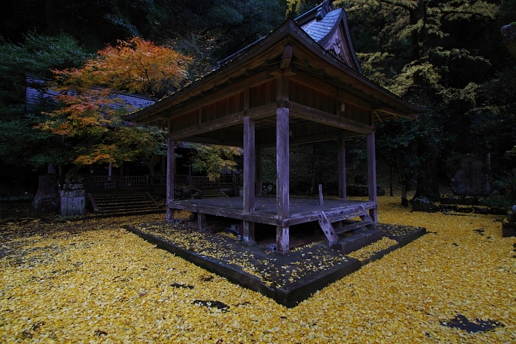 京都・洛北 秋色撮影 ~その2~_e0051888_14455378.jpg