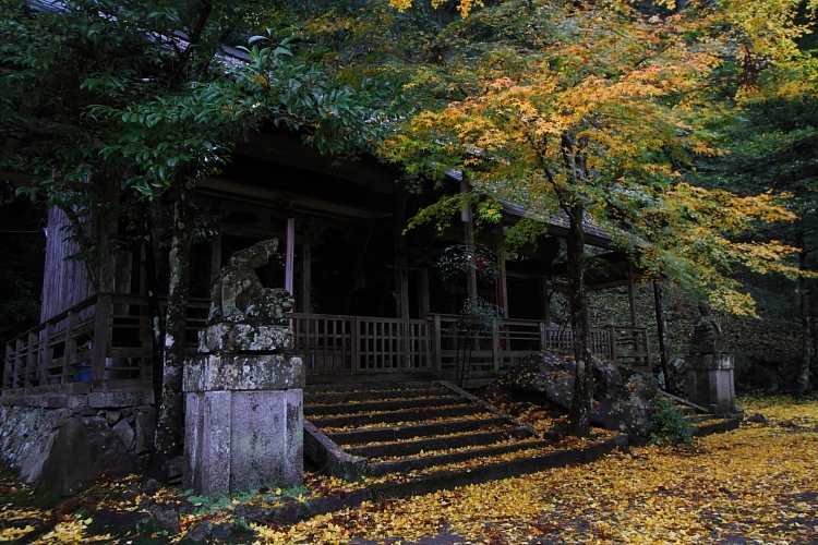 京都・洛北 秋色撮影 ~その2~_e0051888_14482675.jpg
