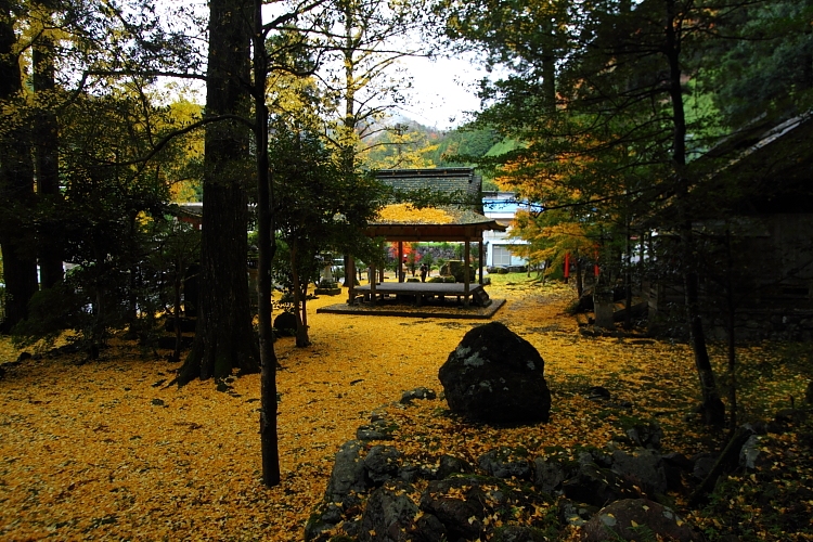 京都・洛北 秋色撮影 ~その2~_e0051888_14484093.jpg