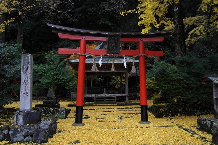 京都・洛北 秋色撮影 ~その2~_e0051888_14491097.jpg