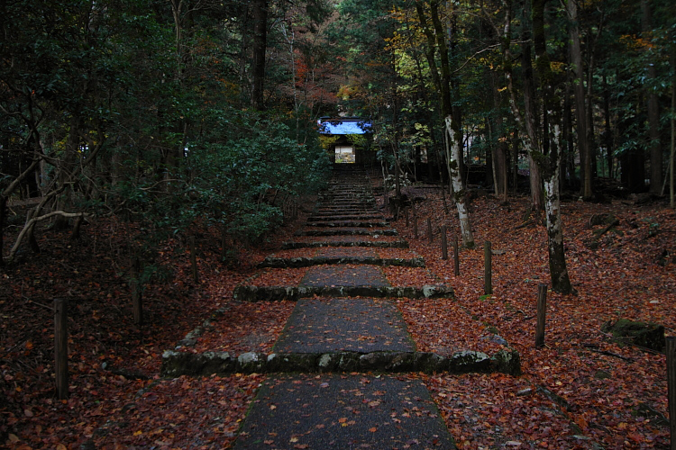 京都・洛北 秋色撮影 ~その3~_e0051888_230478.jpg