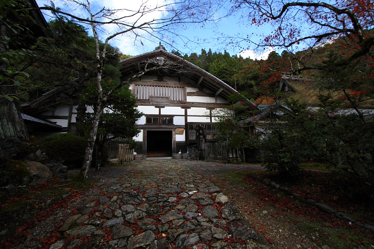 京都・洛北 秋色撮影 ~その3~_e0051888_2313418.jpg