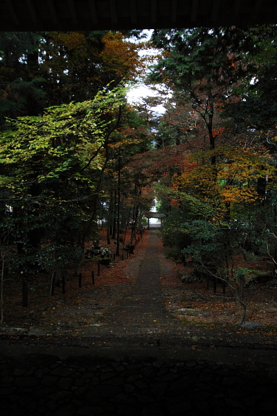 京都・洛北 秋色撮影 ~その3~_e0051888_2313669.jpg