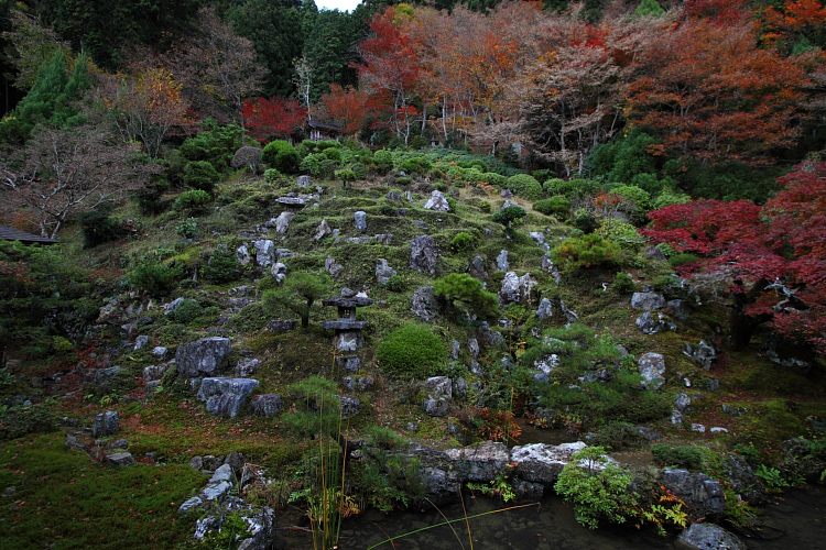 京都・洛北 秋色撮影 ~その3~_e0051888_236158.jpg