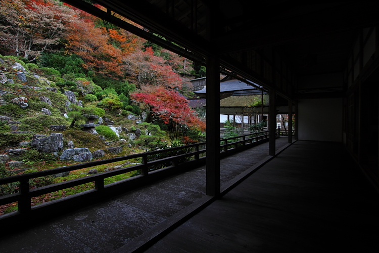 京都・洛北 秋色撮影 ~その3~_e0051888_237457.jpg