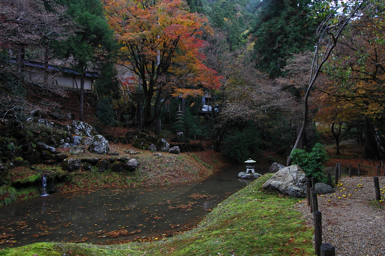 京都・洛北 秋色撮影 ~その3~_e0051888_2394245.jpg