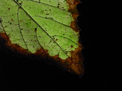 写真教室_c0207890_23361789.jpg