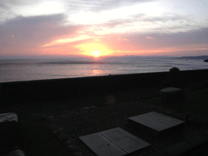 b0174996_20464591.gif