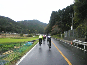 b0174996_81489.gif