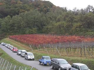 雨の日は熱いコーヒーを飲んで…_c0187298_2374042.jpg