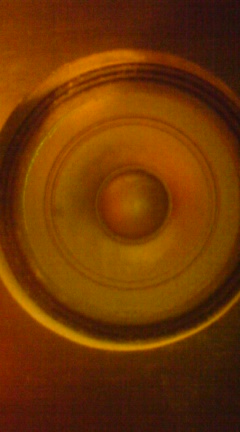 c0202101_10404390.jpg