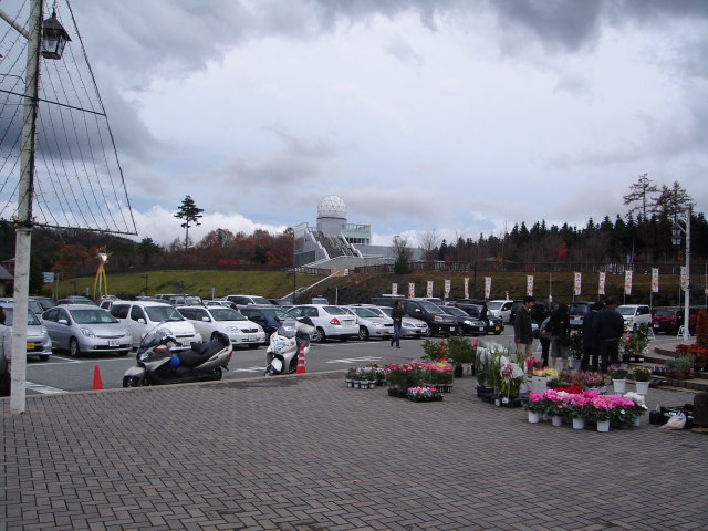 a0116205_2223670.jpg
