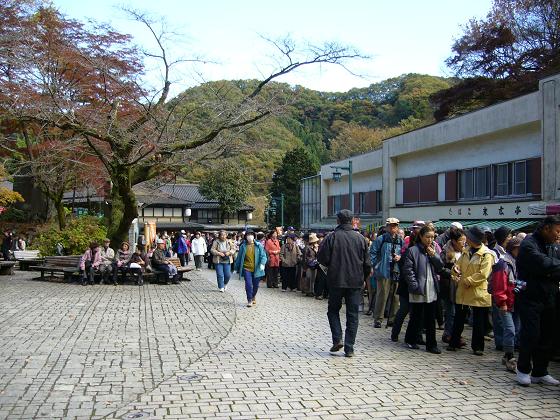 ミシュラン三つ星の高尾山は紅葉真っ盛り_b0112909_19445025.jpg