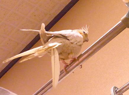 c0133013_14195540.jpg