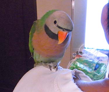 c0133013_14402125.jpg