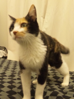 c0201113_19364918.jpg