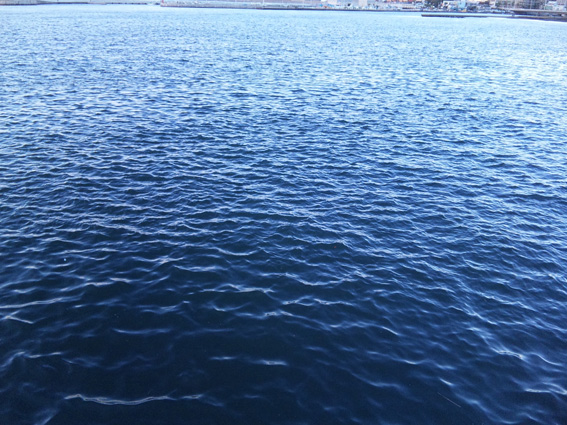 e0034013_19202960.jpg