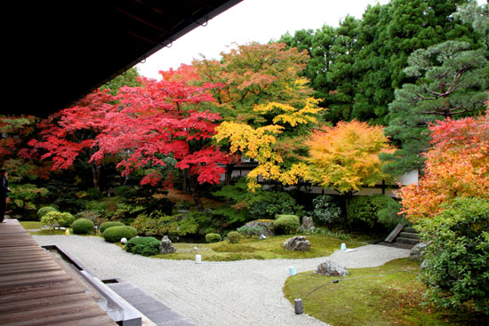 紅葉の盛り　泉涌寺_e0048413_2322228.jpg