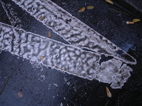 d0144121_5432643.jpg