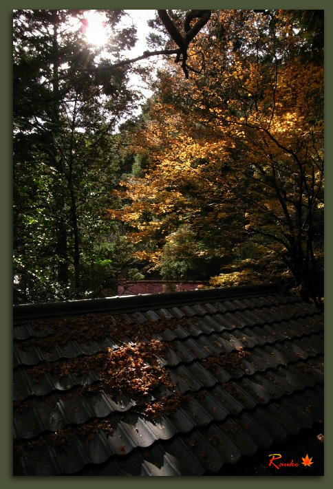 秋色・京都紅葉狩り 『山国護国神社』_e0150228_9553514.jpg