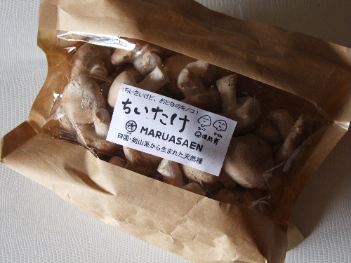 「小さなしいたけ・ちいたけ&おっきな椎茸・濃熟茸」_a0000029_22101850.jpg
