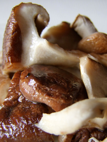 「小さなしいたけ・ちいたけ&おっきな椎茸・濃熟茸」_a0000029_22184593.jpg