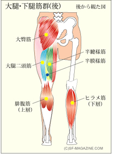 筋肉痛_e0095029_6365457.jpg