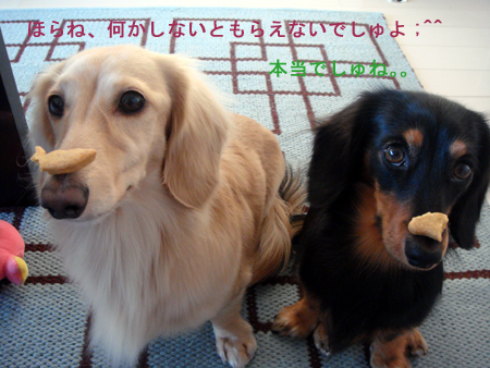 c0117831_20135137.jpg