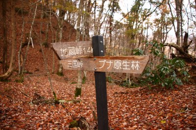 芦生の森　三国峠　775.9ｍ　滋賀県_d0055236_19234788.jpg