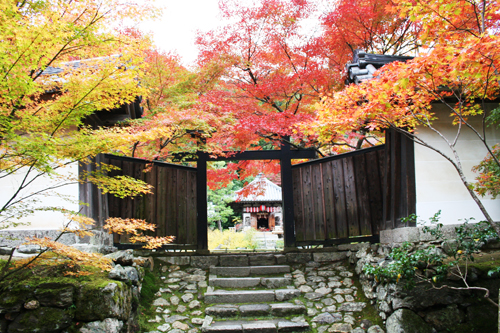 京都嵯峨野_a0105742_10295079.jpg