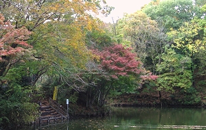 震生湖の紅葉－見ごろまではもう少しかな？_c0171849_17584837.jpg