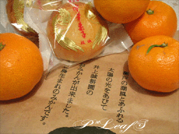 c0176651_1904159.gif