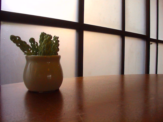 終了しました。_e0060555_19565242.jpg