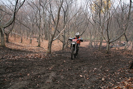 c0198263_20232114.jpg