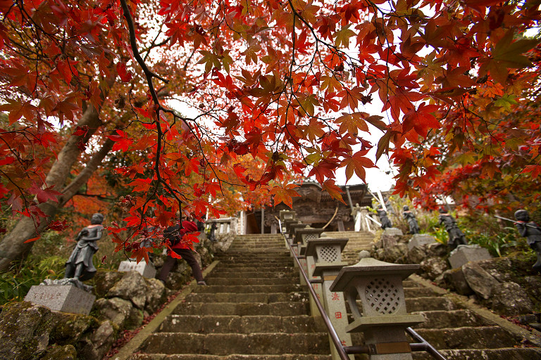 大山寺（11月16日）_c0057265_3442835.jpg