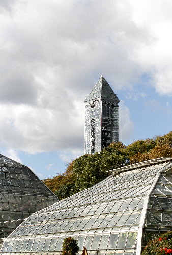 　☆　東山植物園の紅葉　☆_f0181173_2243930.jpg