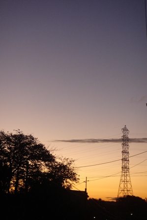 c0135480_1117529.jpg