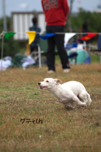 おひさ海ふれ♪　　　後編_c0117383_22223916.jpg