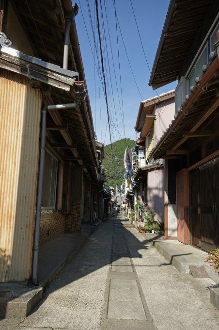 d0045383_1055424.jpg