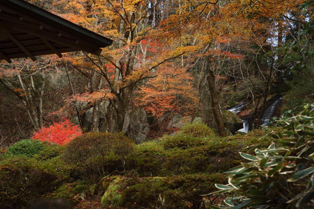 徳川家　「天竜院」　旧里美村_e0143883_2101592.jpg