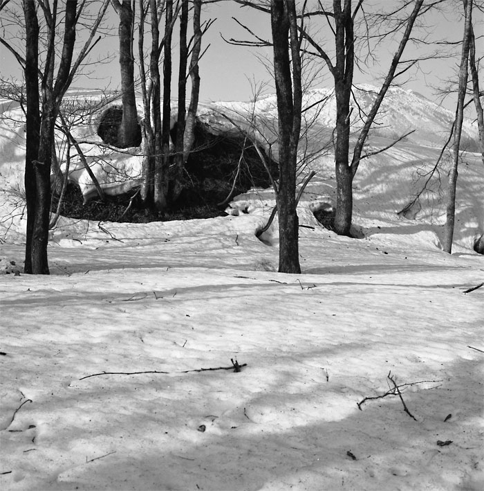 c0229384_22242622.jpg