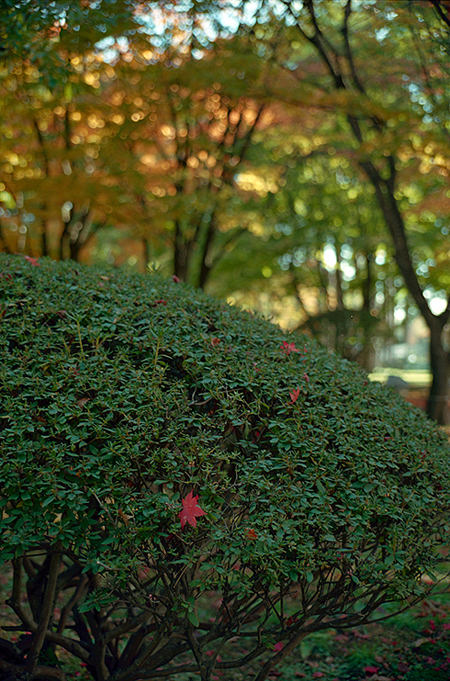 a0141385_02531.jpg