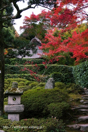 京都紅葉旅行＊金福寺＊_d0148187_0104029.jpg