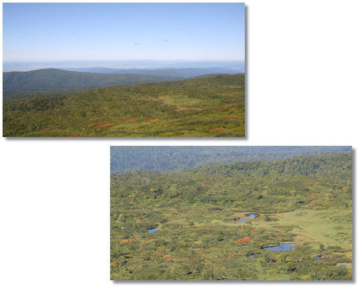 f0146493_21352083.jpg