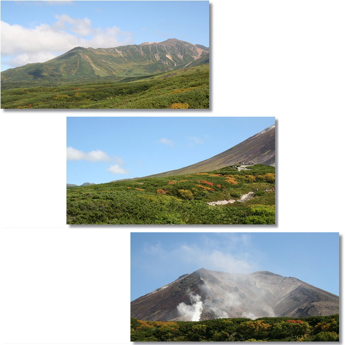 f0146493_21354630.jpg