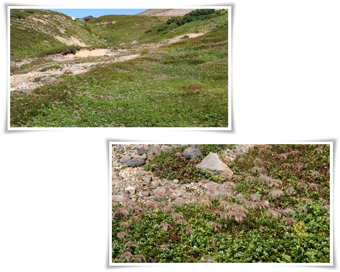 f0146493_2139545.jpg