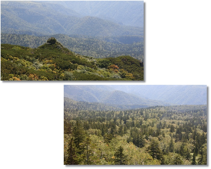 f0146493_21404120.jpg
