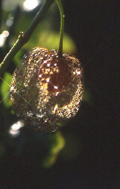d0025894_23461259.jpg