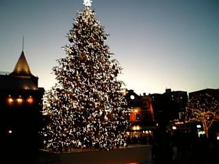 b0079995_948798.jpg