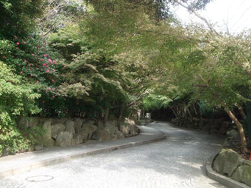 文学と芸術の鎌倉散策_f0153998_2349350.jpg